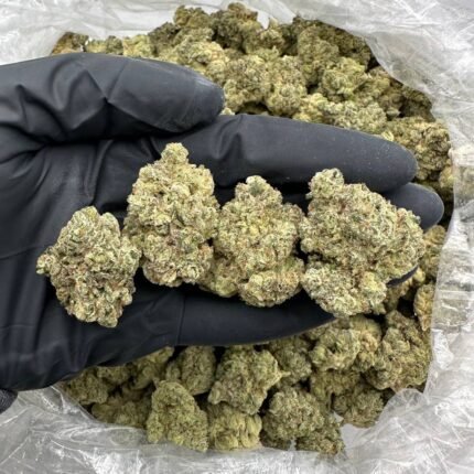 Buy Animal Cookies Cannabis