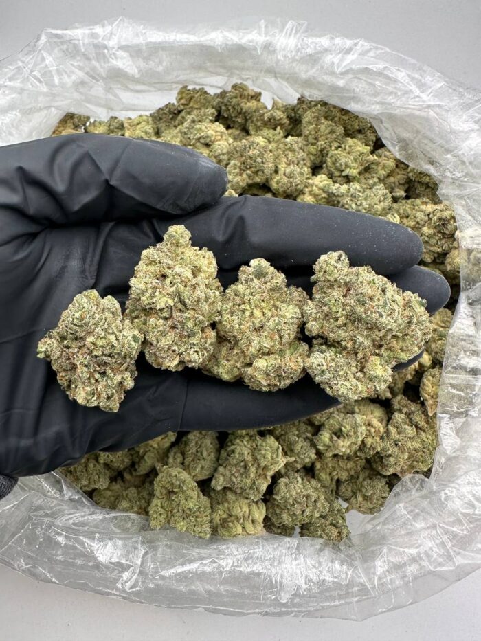 Buy Animal Cookies Cannabis