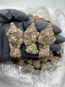 Where to buy Gello Cannabis Strain