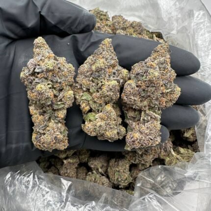 Where to buy Gello Cannabis Strain
